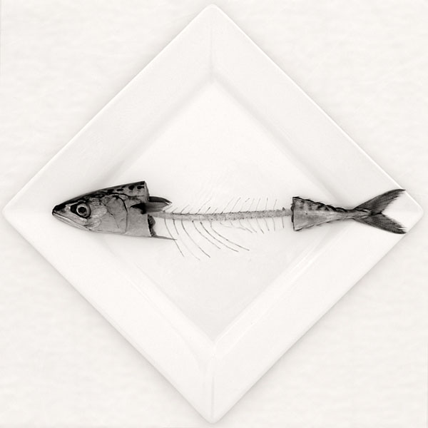 Photograph Michel Bochet Merand Ichtus on One Eyeland